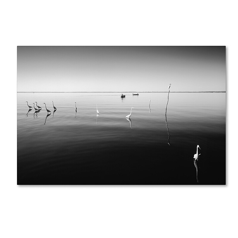 Trademark Fine Art ''11 Herons'' by Moises Levy 16" x 24" Canvas Art (ALI1090-C1624GG) image 1