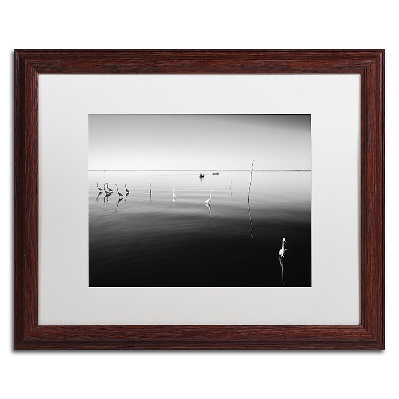 Trademark Fine Art ''11 Herons'' by Moises Levy 16" x 20" White Matted Wood Frame (ALI1090-W1620MF) image 1