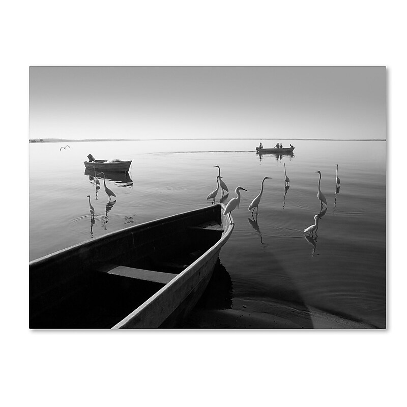 Trademark Fine Art ''Herons and 3 Boats'' by Moises Levy 24" x 32" Canvas Art (ALI1091-C2432GG) image 1