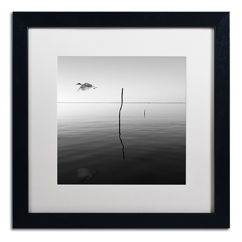 Trademark Fine Art ''Fly'' by Moises Levy 16" x 16" White Matted Black Frame (ALI1092-B1616MF) image 1