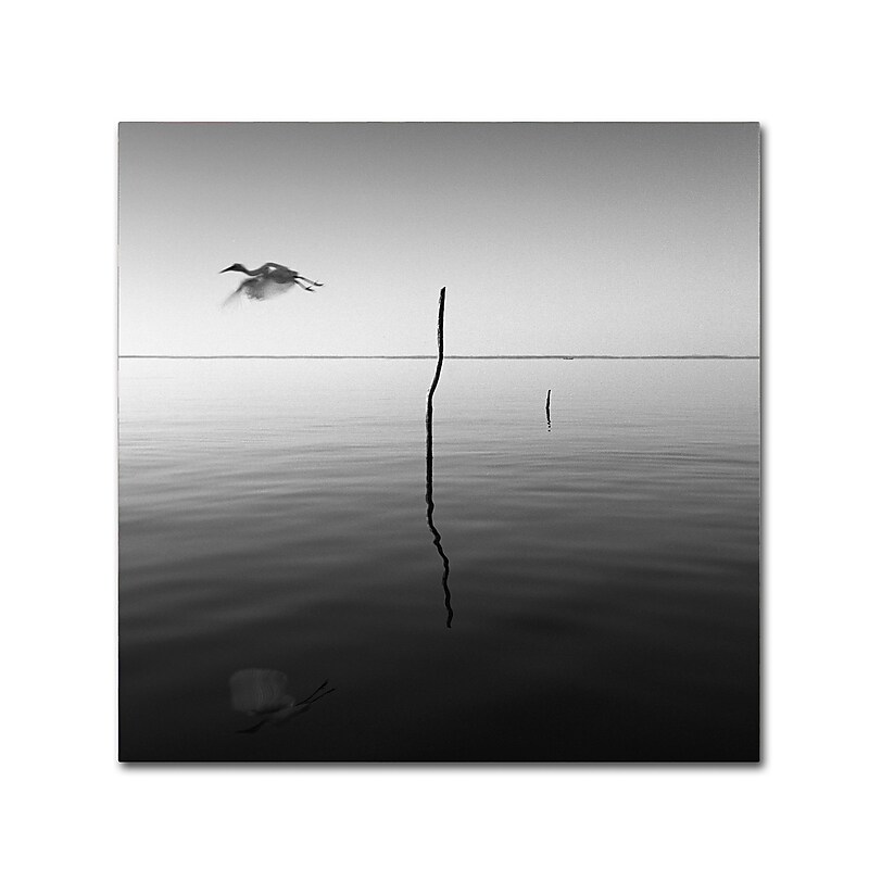 Trademark Fine Art ''Fly'' by Moises Levy 18" x 18" Canvas Art (ALI1092-C1818GG) image 1