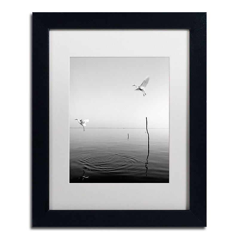 Trademark Fine Art ''Flying'' by Moises Levy 11" x 14" White Matted Black Frame (ALI1093-B1114MF) image 1