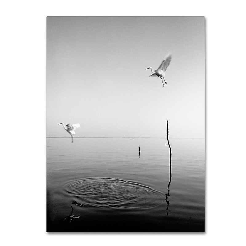 Trademark Fine Art ''Flying'' by Moises Levy 14" x 19" Canvas Art (ALI1093-C1419GG) image 1