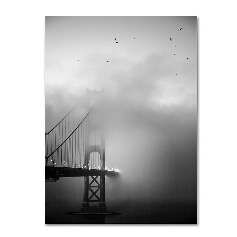 Trademark Fine Art ''Golden Gate and Birds'' by Moises Levy 24" x 32" Canvas Art (ALI1095-C2432GG) image 1