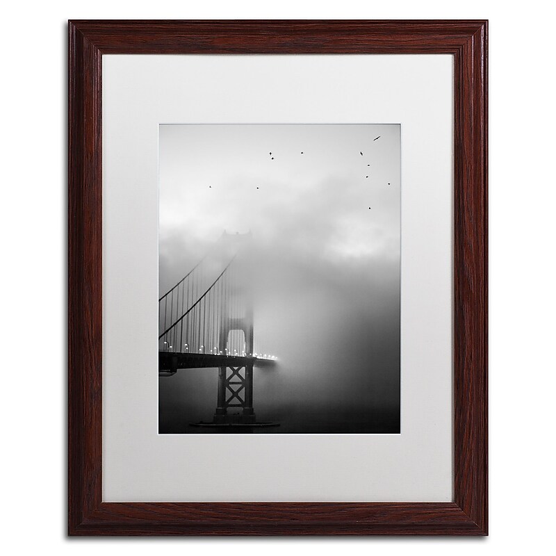 Trademark Fine Art ''Golden Gate and Birds'' by Moises Levy 16" x 20" White Matted Wood Frame (ALI1095-W1620MF) image 1