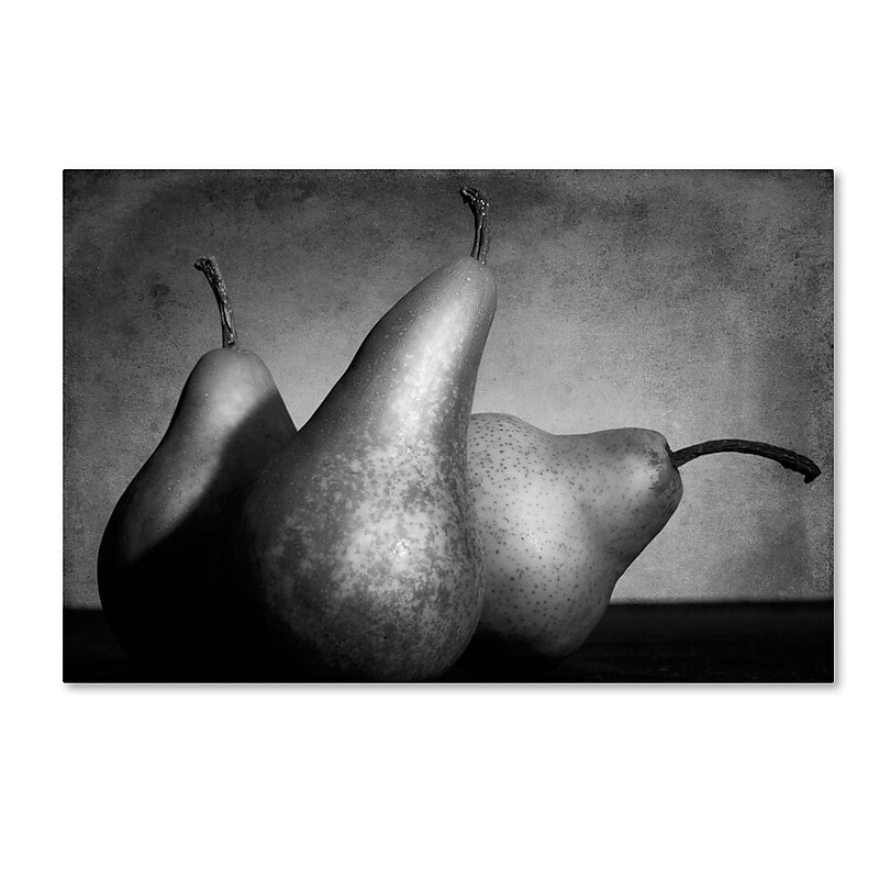 Trademark Fine Art ''Cayendo'' by Moises Levy 16" x 24" Canvas Art (ALI1101-C1624GG) image 1