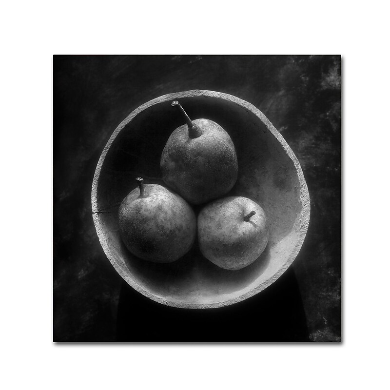 Trademark Fine Art ''Circulo de Peras'' by Moises Levy 18" x 18" Canvas Art (ALI1102-C1818GG) image 1