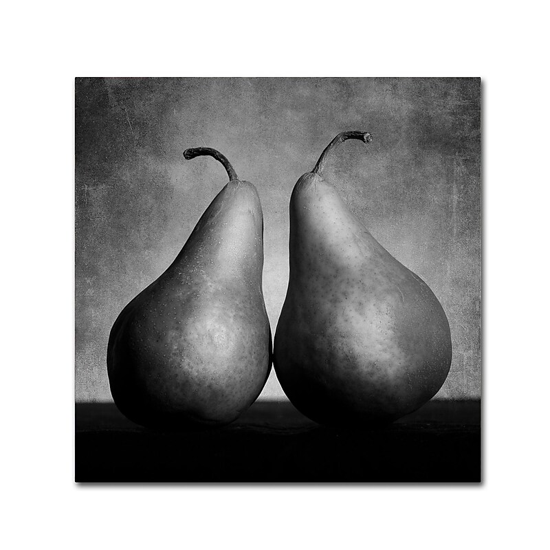 Trademark Fine Art ''Peras Enamoradas'' by Moises Levy 18" x 18" Canvas Art (ALI1106-C1818GG) image 1