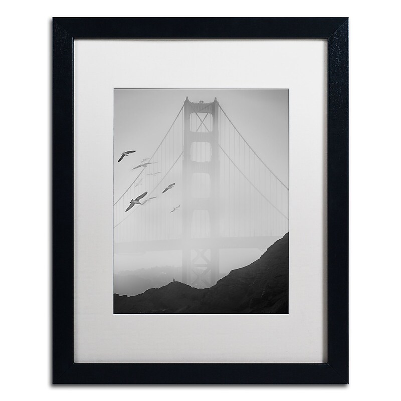 Trademark Fine Art ''Golden Gate Pier and Birds I'' by Moises Levy 16" x 20" White Matted Black Frame (ALI1112-B1620MF) image 1