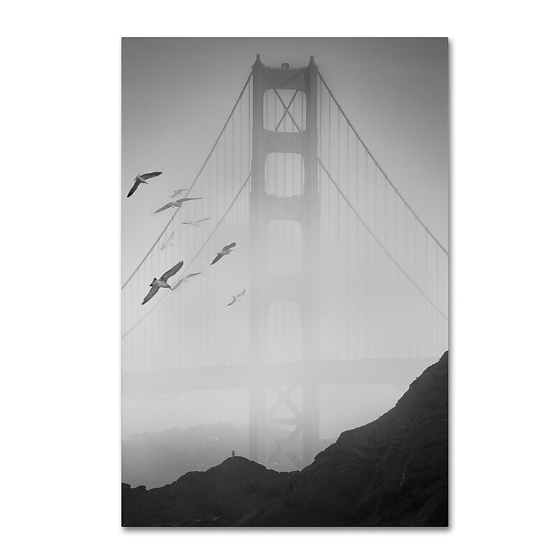Trademark Fine Art ''Golden Gate Pier and Birds I'' by Moises Levy 16" x 24" Canvas Art (ALI1112-C1624GG) image 1