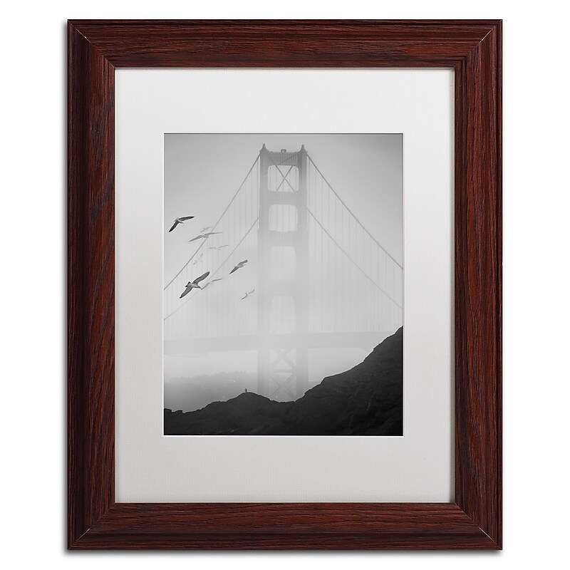 Trademark Fine Art ''Golden Gate Pier and Birds I'' by Moises Levy 11" x 14" White Matted Wood Frame (ALI1112-W1114MF) image 1