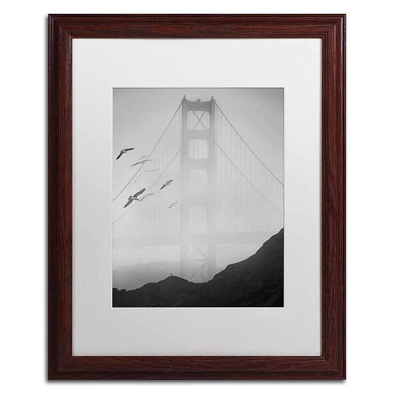 Trademark Fine Art ''Golden Gate Pier and Birds I'' by Moises Levy 16" x 20" White Matted Wood Frame (ALI1112-W1620MF) image 1