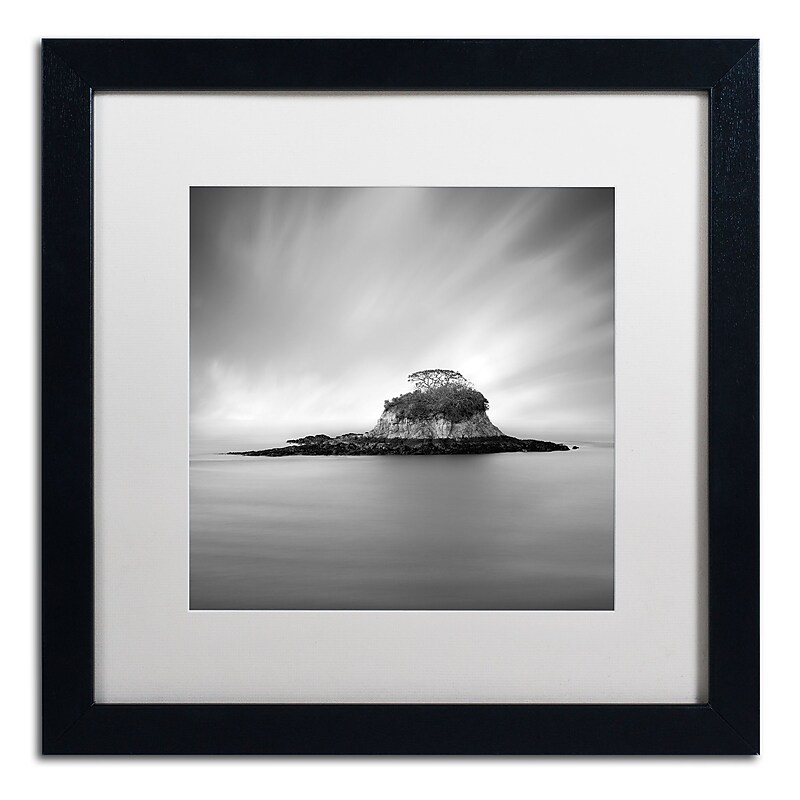 Trademark Fine Art ''Rat Island'' by Moises Levy 16" x 16" White Matted Black Frame (ALI1118-B1616MF) image 1