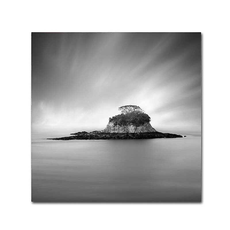 Trademark Fine Art ''Rat Island'' by Moises Levy 14" x 14" Canvas Art (ALI1118-C1414GG) image 1