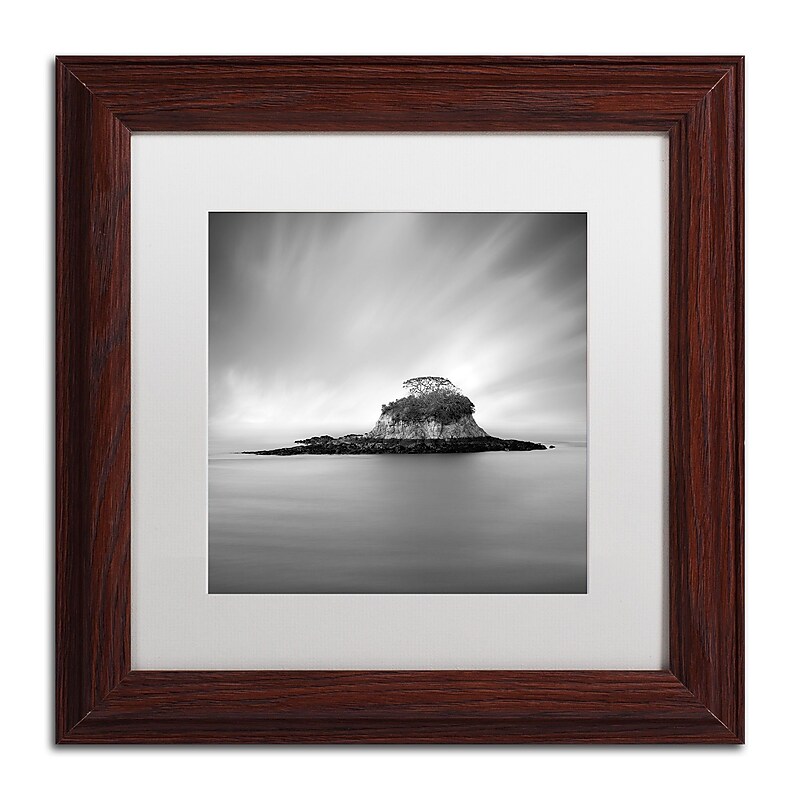 Trademark Fine Art ''Rat Island'' by Moises Levy 11" x 11" White Matted Wood Frame (ALI1118-W1111MF) image 1