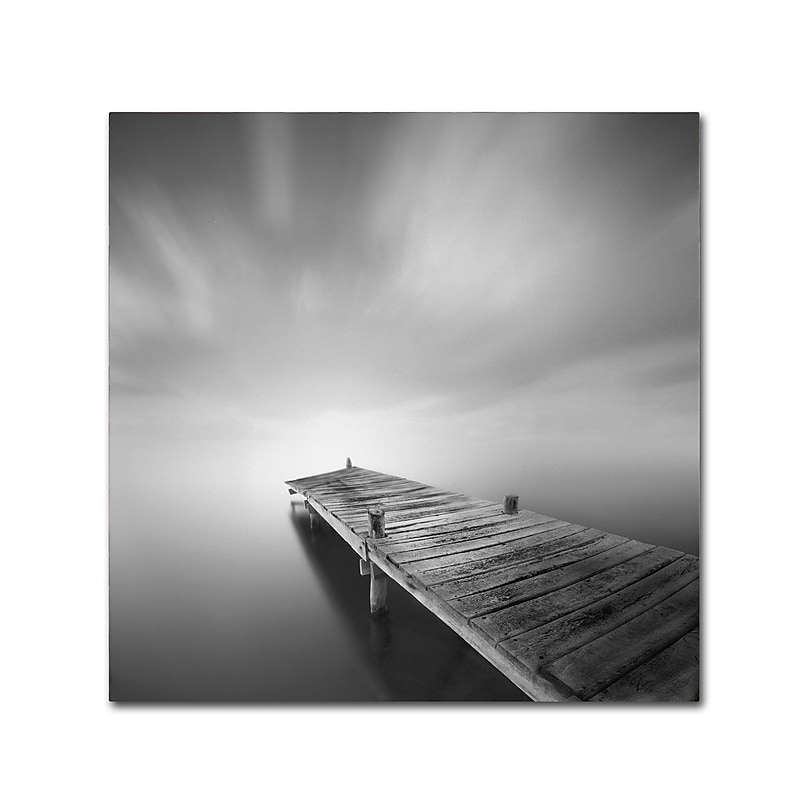 Trademark Fine Art ''Destiny IVb'' by Moises Levy 14" x 14" Canvas Art (ALI1121-C1414GG) image 1