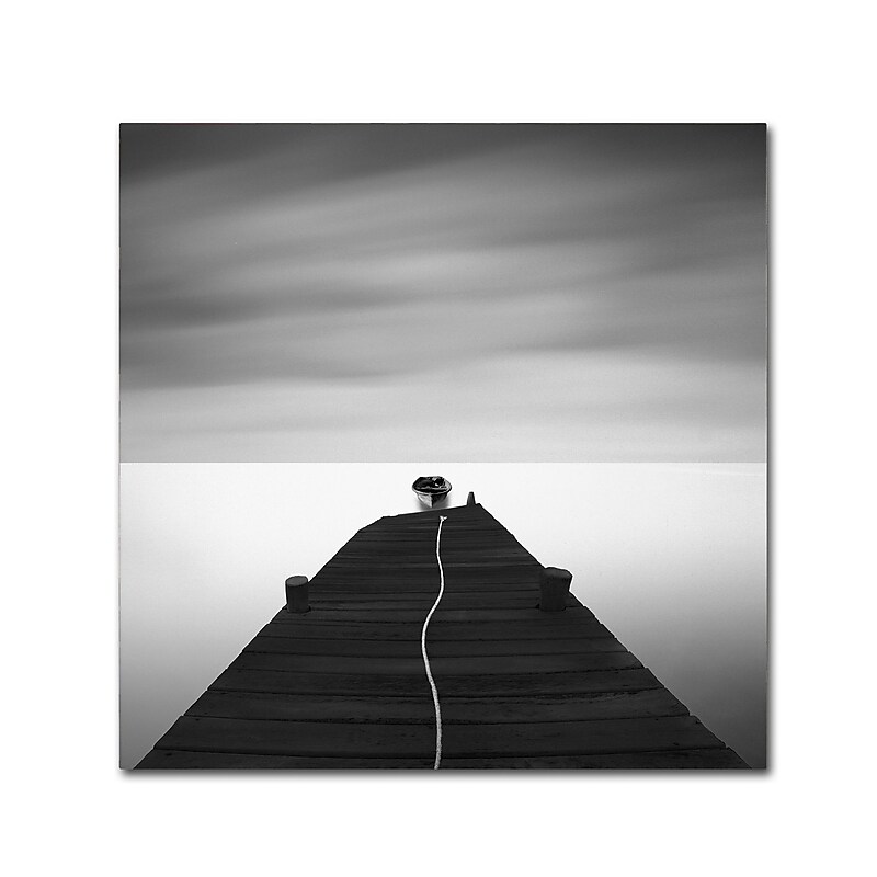 Trademark Fine Art ''Free'' by Moises Levy 35" x 35" Canvas Art (ALI1122-C3535GG) image 1