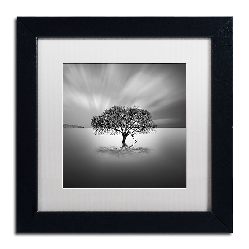 Trademark Fine Art ''Water Tree VIII'' by Moises Levy 11" x 11" White Matted Black Frame (ALI1125-B1111MF) image 1