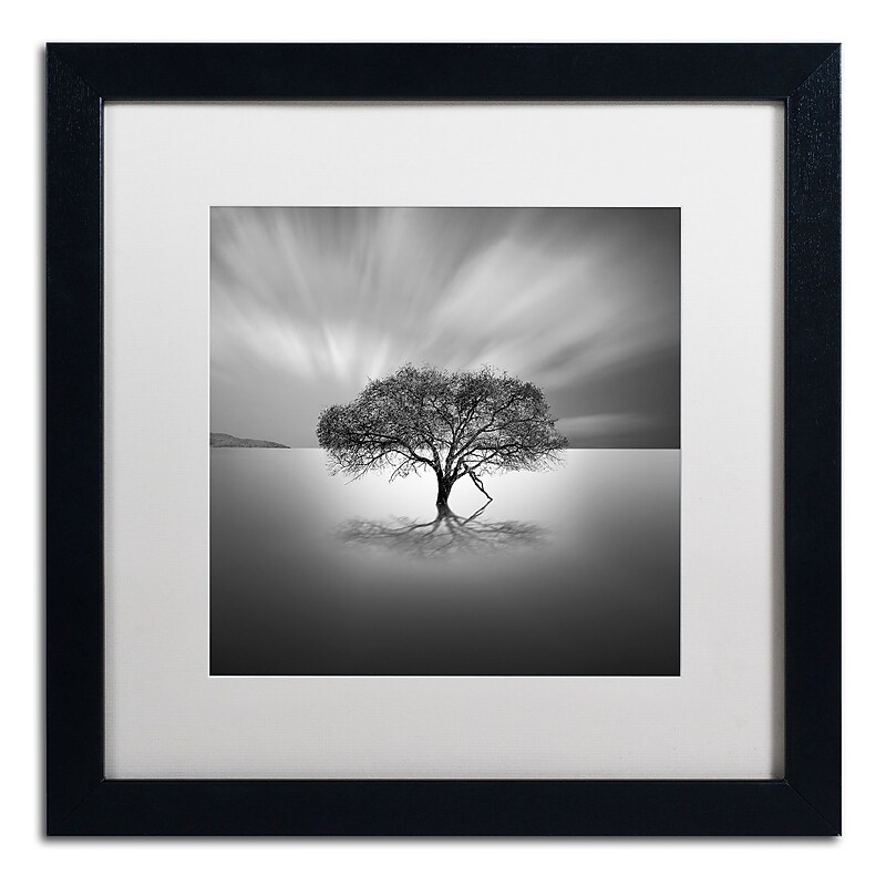 Trademark Fine Art ''Water Tree VIII'' by Moises Levy 16" x 16" White Matted Black Frame (ALI1125-B1616MF) image 1