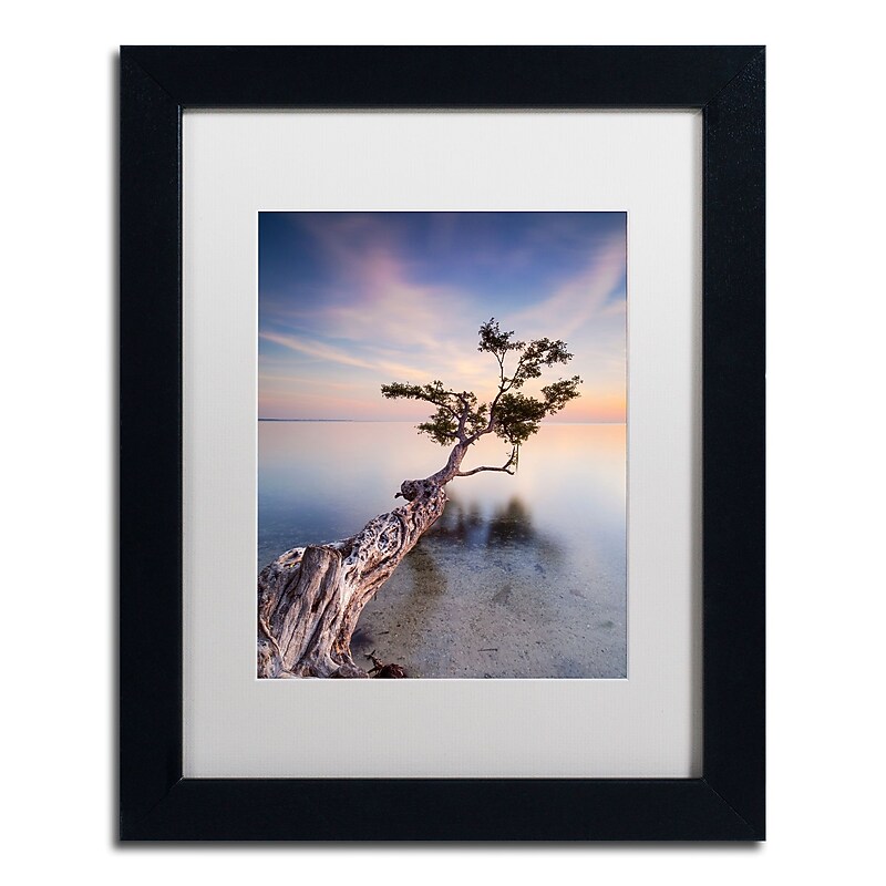 Trademark Fine Art ''Water Tree X'' by Moises Levy 11" x 14" White Matted Black Frame (ALI1126-B1114MF) image 1