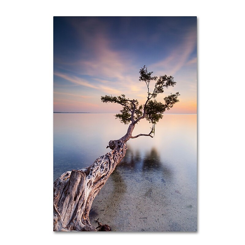 Trademark Fine Art ''Water Tree X'' by Moises Levy 16" x 24" Canvas Art (ALI1126-C1624GG) image 1