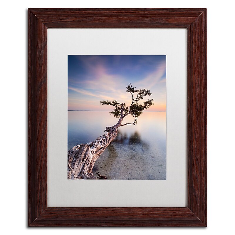 Trademark Fine Art ''Water Tree X'' by Moises Levy 11" x 14" White Matted Wood Frame (ALI1126-W1114MF) image 1