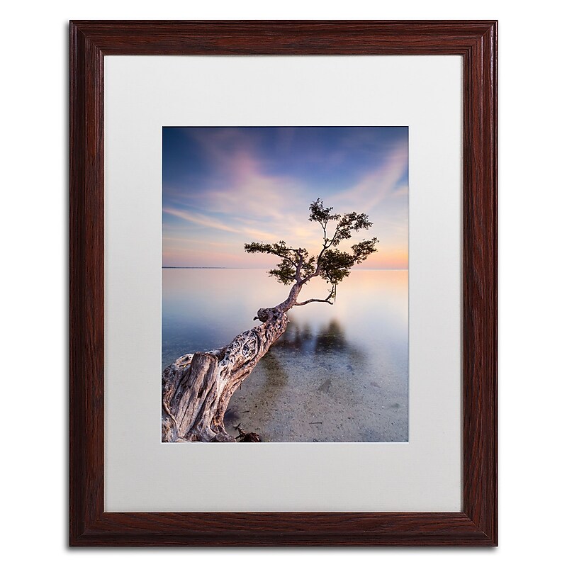 Trademark Fine Art ''Water Tree X'' by Moises Levy 16" x 20" White Matted Wood Frame (ALI1126-W1620MF) image 1