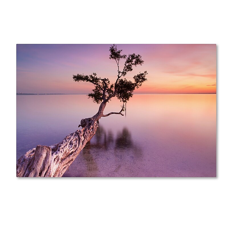 Trademark Fine Art ''Water Tree XI'' by Moises Levy 22" x 32" Canvas Art (ALI1127-C2232GG) image 1