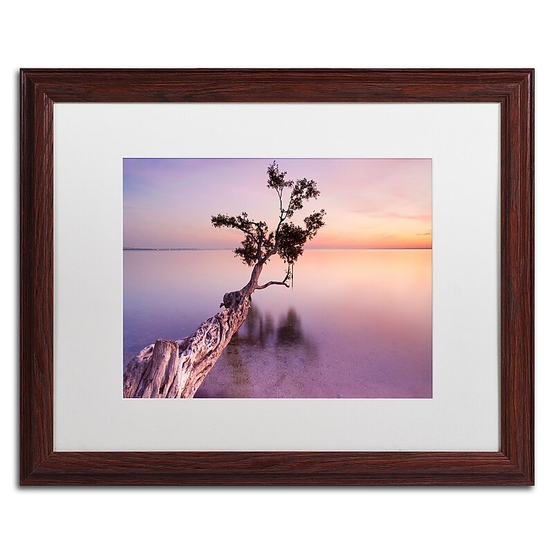 Trademark Fine Art ''Water Tree XI'' by Moises Levy 16" x 20" White Matted Wood Frame (ALI1127-W1620MF) image 1