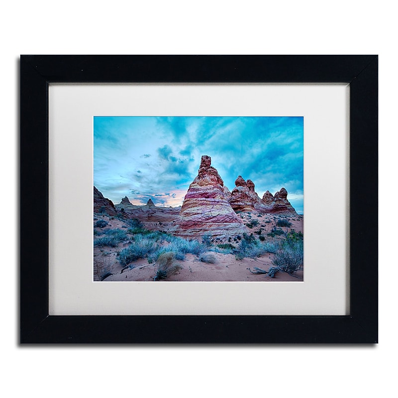 Trademark Fine Art ''Cottonwood I'' by Moises Levy 11" x 14" White Matted Black Frame (ALI1129-B1114MF) image 1