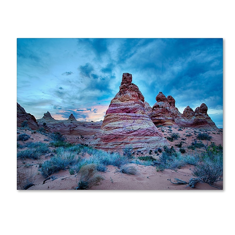 Trademark Fine Art ''Cottonwood I'' by Moises Levy 14" x 19" Canvas Art (ALI1129-C1419GG) image 1