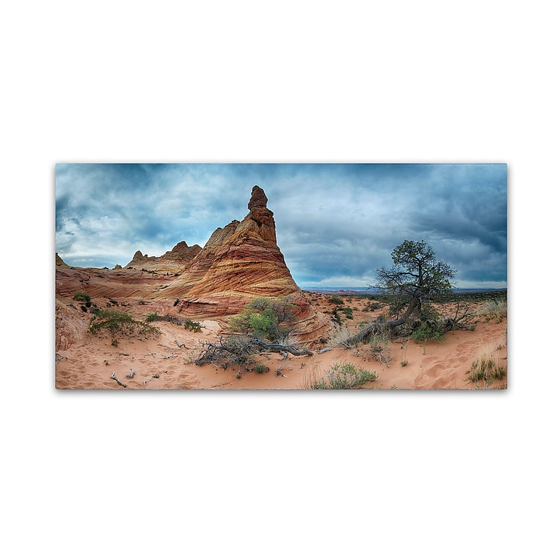 Trademark Fine Art ''Cottonwood III'' by Moises Levy 16" x 32" Canvas Art (ALI1132-C1632GG) image 1