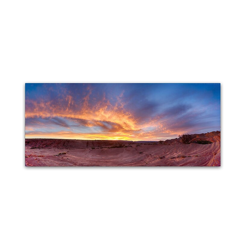 Trademark Fine Art ''Fire Clean'' by Moises Levy 14" x 32" Canvas Art (ALI1133-C1432GG) image 1