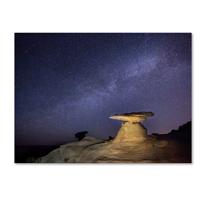 Trademark Fine Art ''Starry Night in Arizona III'' by Moises Levy 24" x 32" Canvas Art (ALI1139-C2432GG) image 1