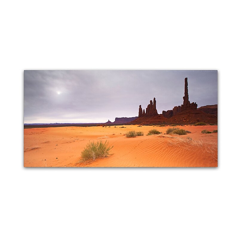 Trademark Fine Art ''Monument Valley Panorama I'' by Moises Levy 24" x 47" Canvas Art (ALI1143-C2447GG) image 1