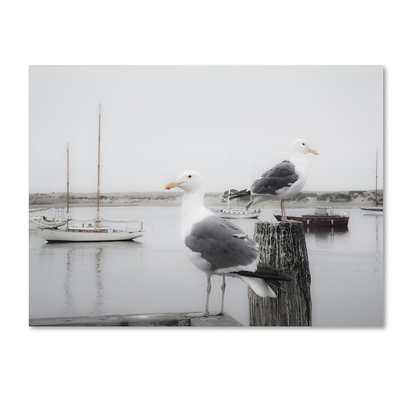 Trademark Fine Art ''Two Seagulls & Boats'' by Moises Levy 14" x 19" Canvas Art (ALI1147-C1419GG) image 1