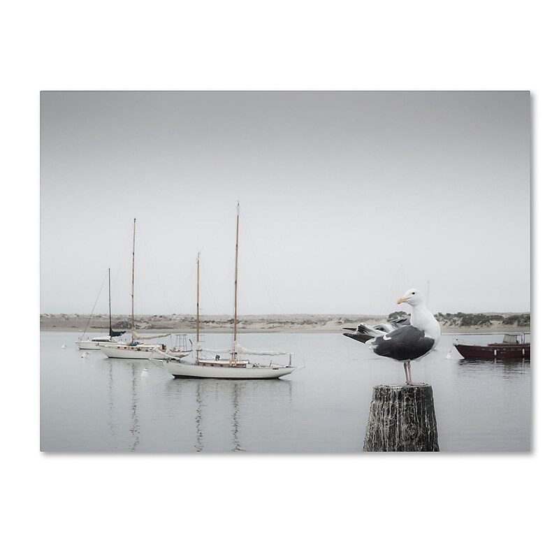 Trademark Fine Art ''Four Boats & Seagull'' by Moises Levy 35" x 47" Canvas Art (ALI1148-C3547GG) image 1