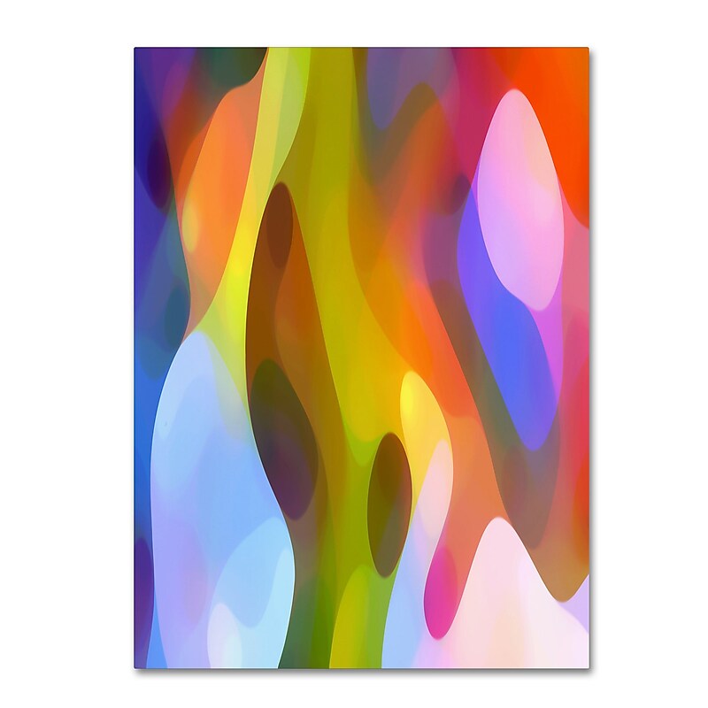 Trademark Fine Art ''Dappled Light 4'' by Amy Vangsgard  14" x 19" Canvas Art (AV0102-C1419GG) image 1