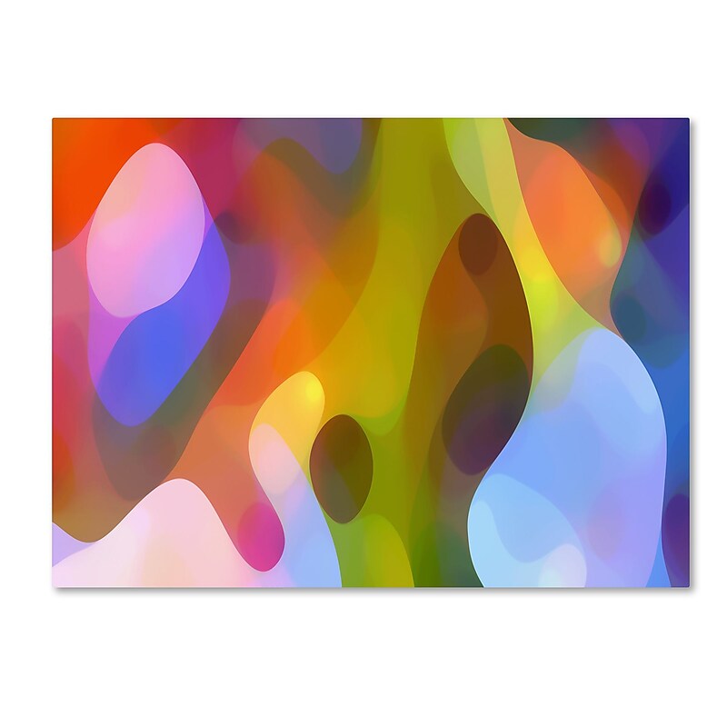 Trademark Fine Art ''Dappled Light 6'' by Amy Vangsgard  24" x 32" Canvas Art (AV0104-C2432GG) image 1