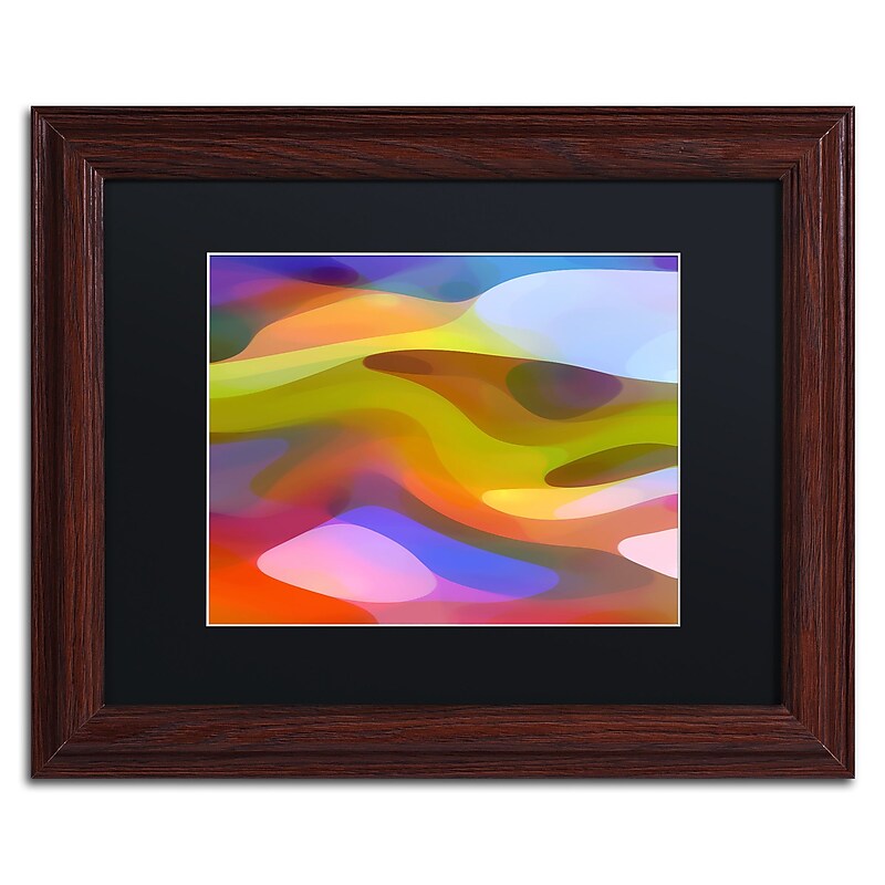 Trademark Fine Art ''Dappled Light 9'' by Amy Vangsgard  11" x 14" Black Matted Wood Frame (AV0108-W1114BMF) image 1