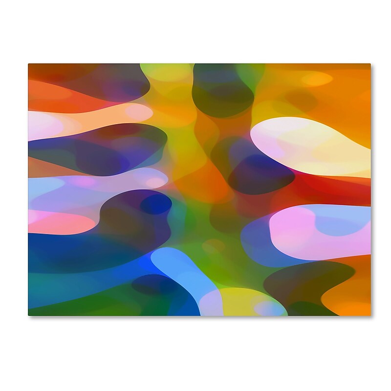 Trademark Fine Art ''Dappled Light Palm 3'' by Amy Vangsgard  24" x 32" Canvas Art (AV0112-C2432GG) image 1