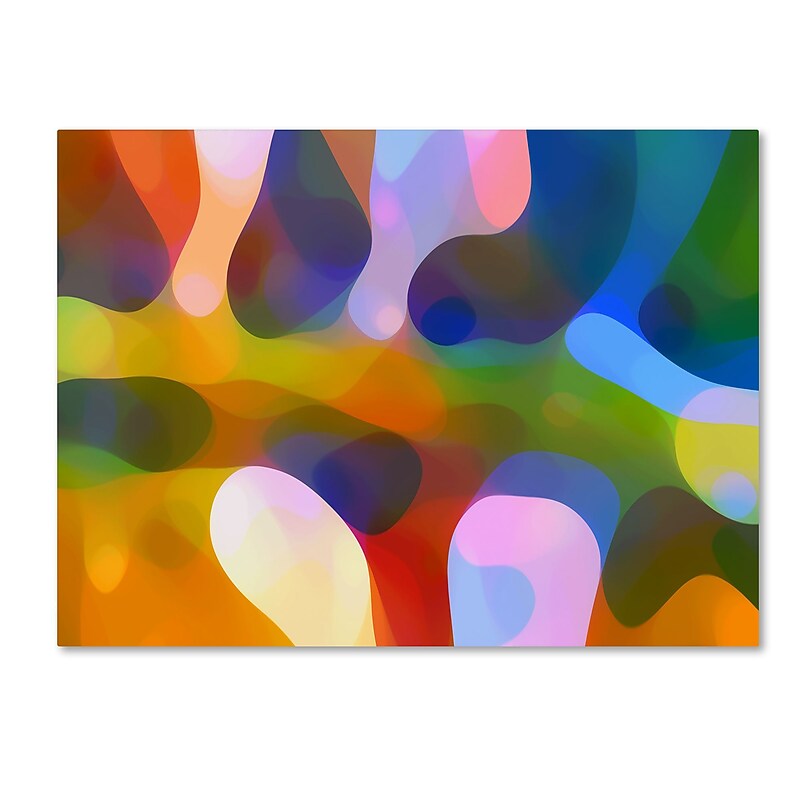 Trademark Fine Art ''Dappled Light Palm 4'' by Amy Vangsgard  24" x 32" Canvas Art (AV0113-C2432GG) image 1
