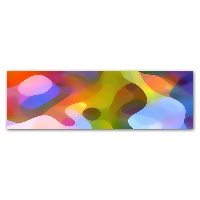 Trademark Fine Art ''Dappled Light Panoramic 2'' by Amy Vangsgard  8" x 24" Canvas Art (AV0117-C824GG) image 1