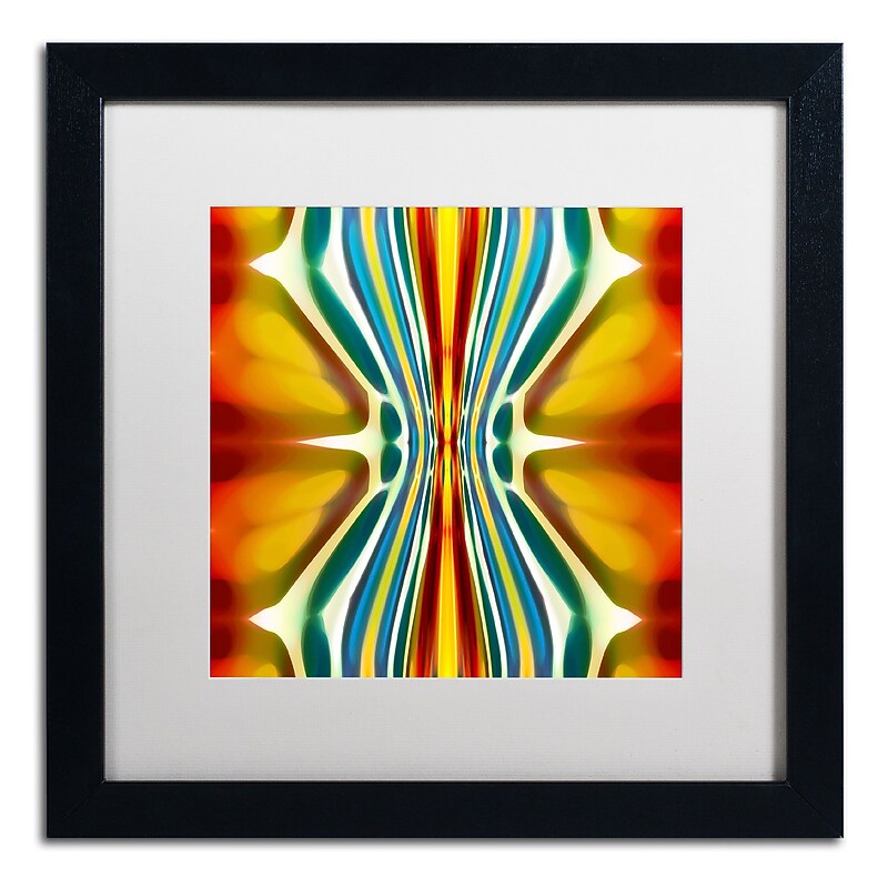 Trademark Fine Art ''Fury Pattern 6'' by Amy Vangsgard  16" x 16" White Matted Black Frame (AV0130-B1616MF) image 1