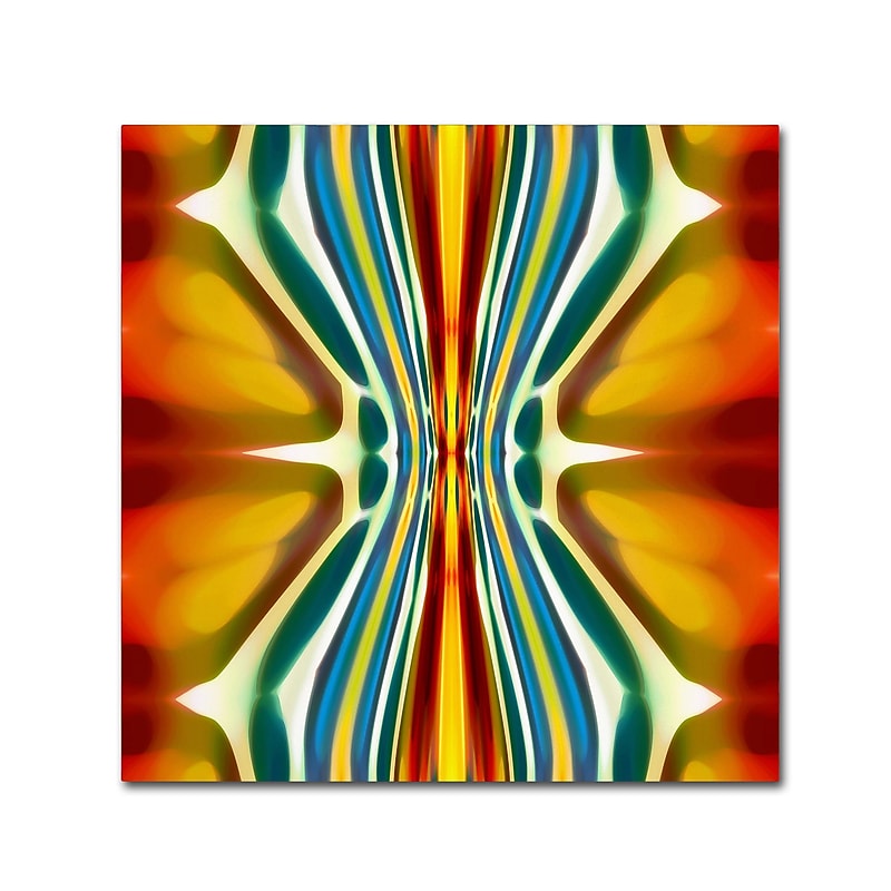 Trademark Fine Art ''Fury Pattern 6'' by Amy Vangsgard 14" x 14" Canvas Art (AV0130-C1414GG) image 1
