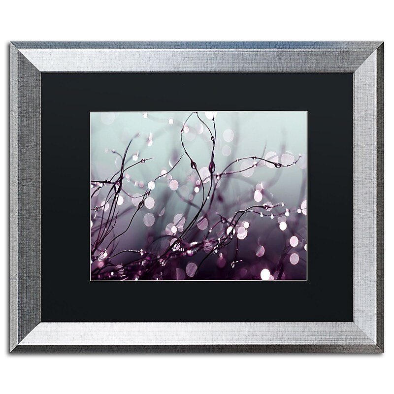 Trademark Fine Art ''Somewhere Over the Rainbow'' by Beata Czyzowska Young 16" x 20" Silver Frame (BC0017-S1620BMF) image 1