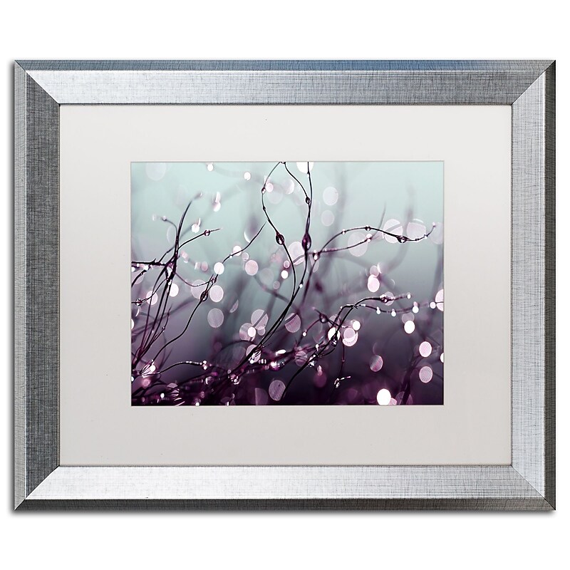 Trademark Fine Art ''Somewhere Over the Rainbow'' by Beata Czyzowska Young 16" x 20" Silver Frame (BC0017-S1620MF) image 1
