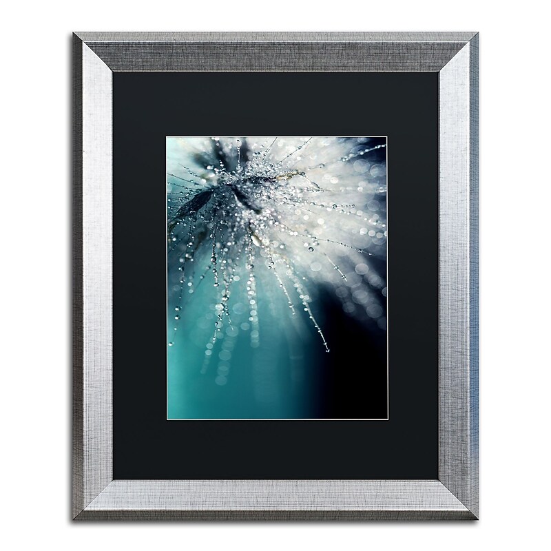 Trademark Fine Art ''Morning Sonata'' by Beata Czyzowska Young 16" x 20" Black Matted Silver Frame (BC0097-S1620BMF) image 1