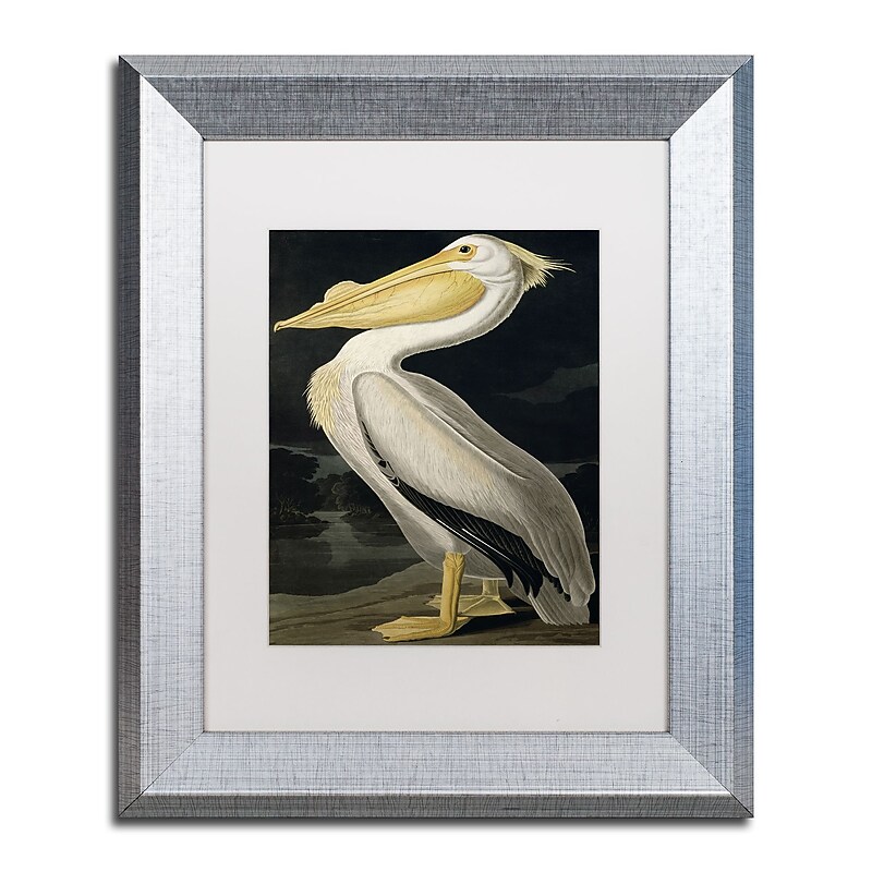 Trademark Fine Art ''American White Pelican'' by John James Audubon 11" x 14" White Matted Silver Frame (BL01258-S1114MF) image 1
