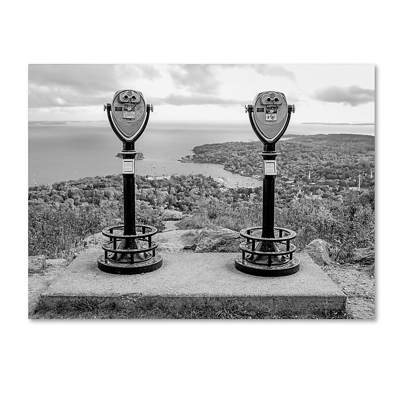 Trademark Fine Art ''Tower Viewers BW'' by Preston 35" x 47" Canvas Art (EM0510-C3547GG) image 1